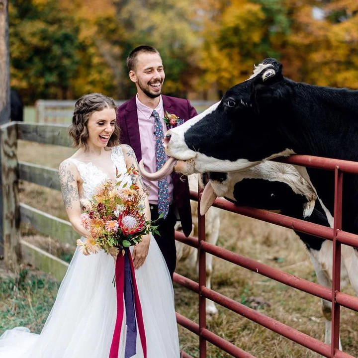 Barn Wedding Outfit for Groom