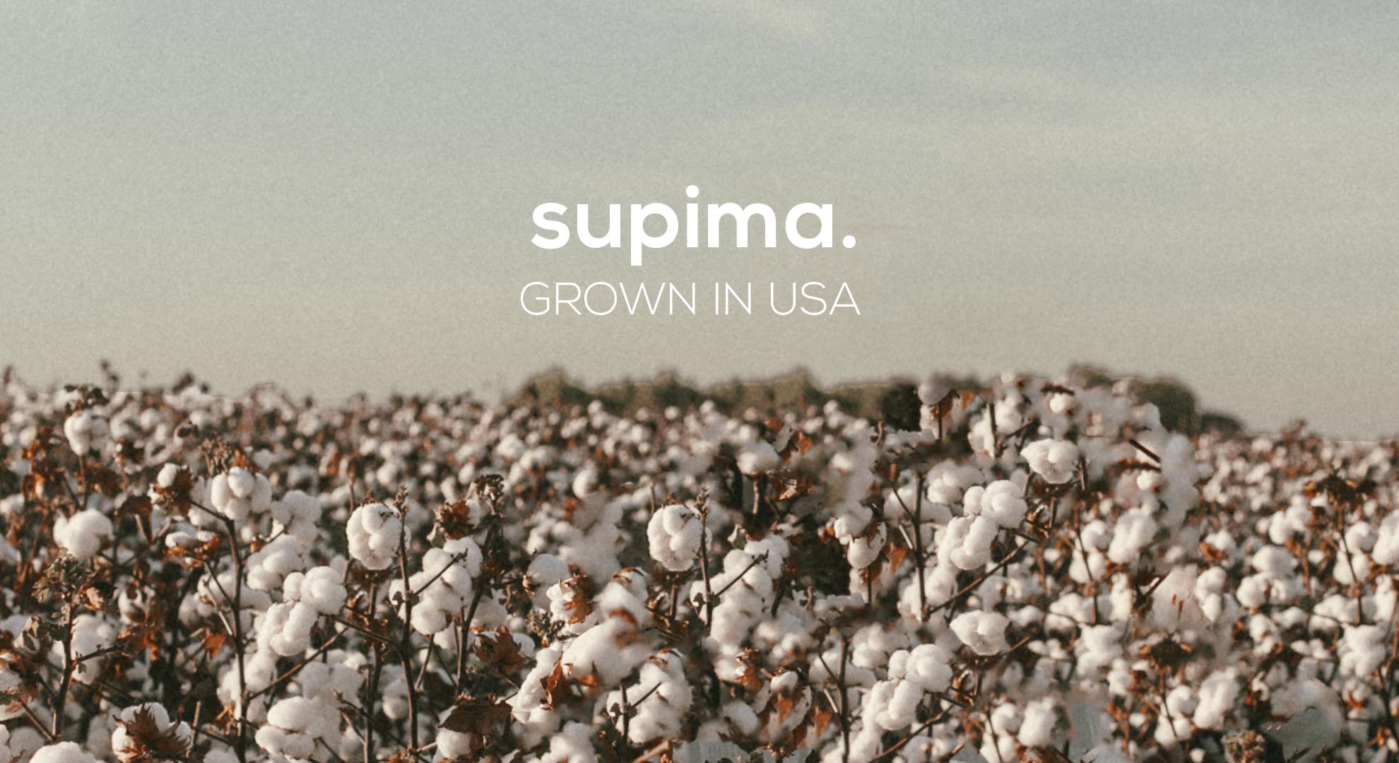 Business Suits Online