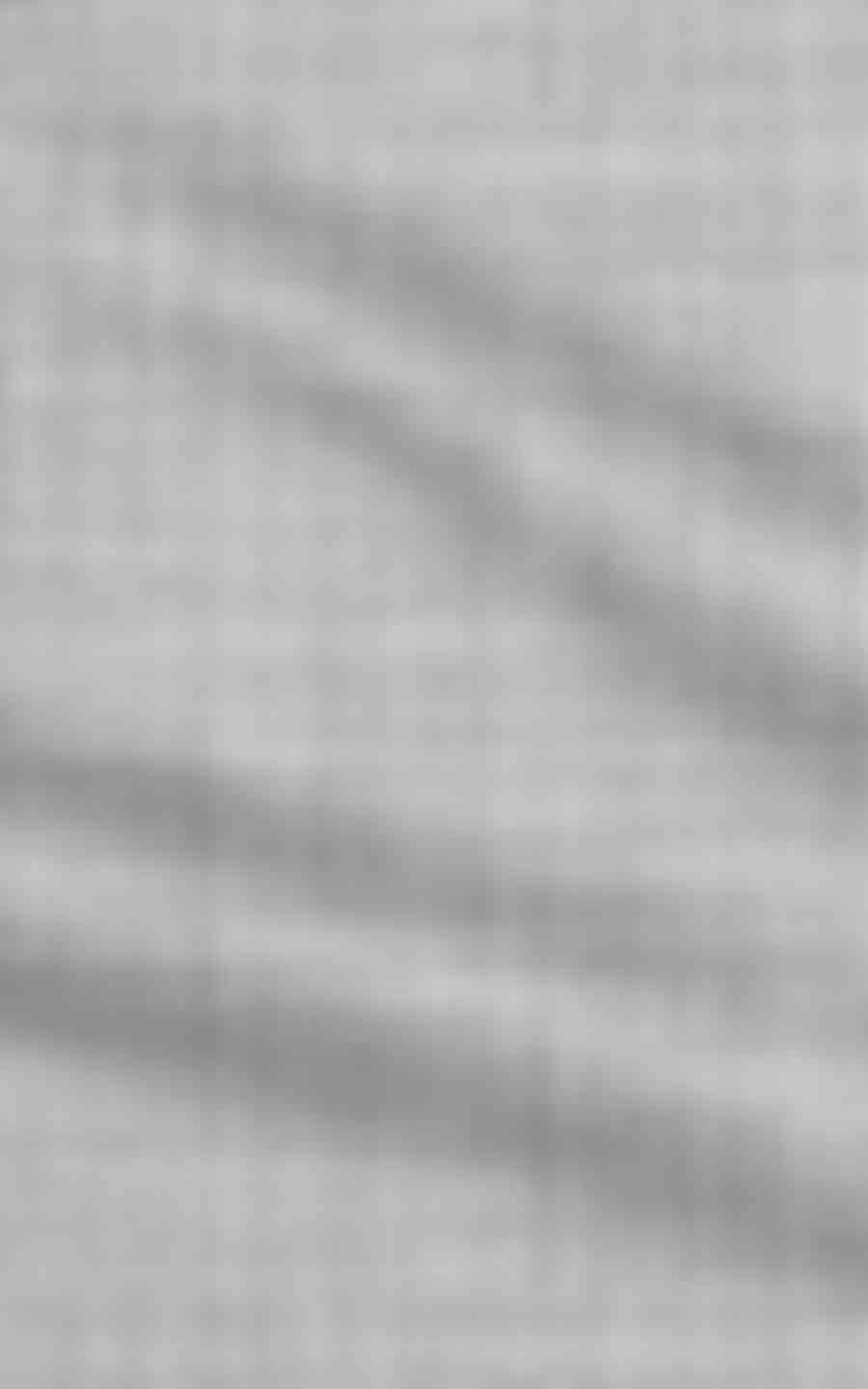 Light Grey Sharkskin Wool image