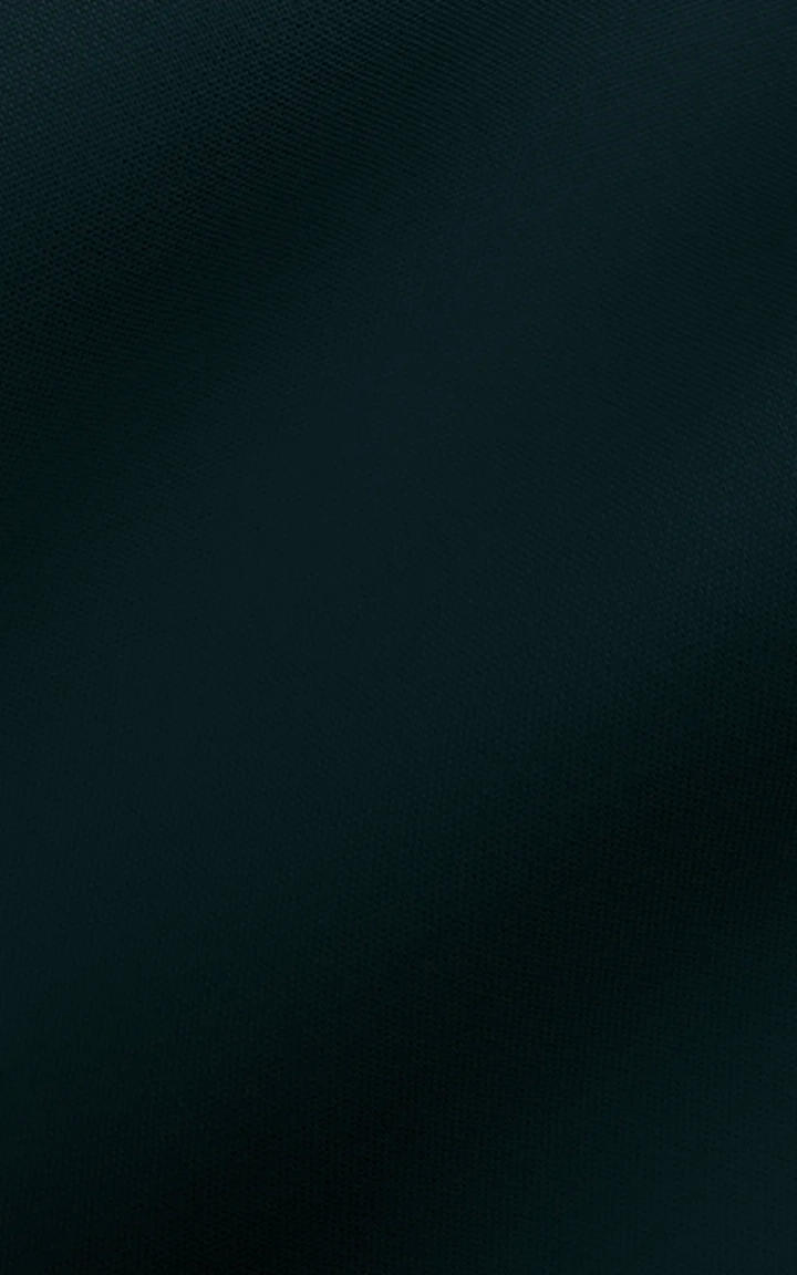 Aspen Teal Green Cotton image