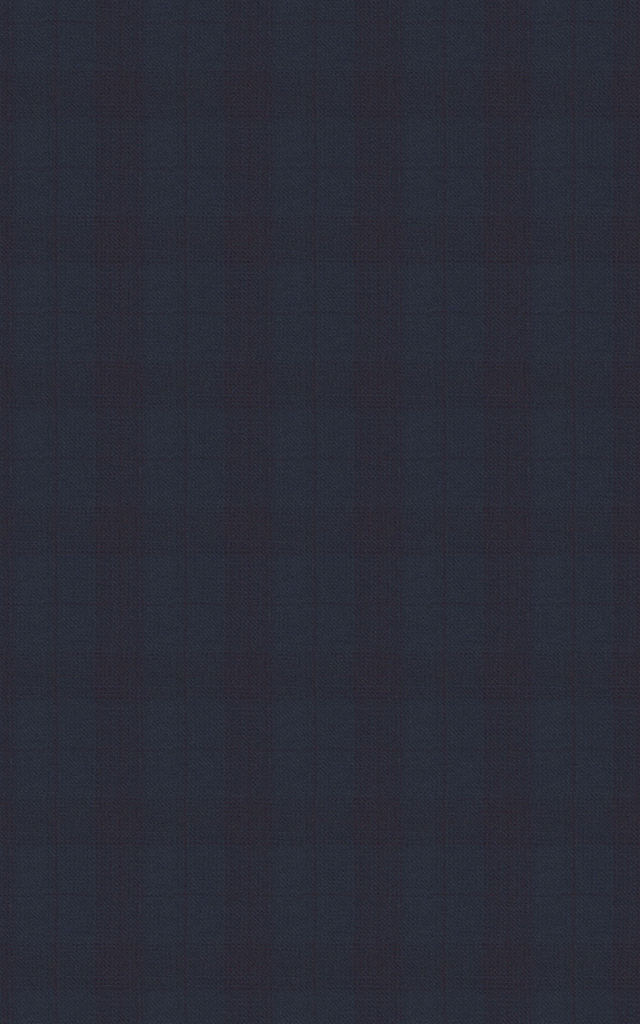 Navy Wine Checks Vegan Suit-tailored-fit