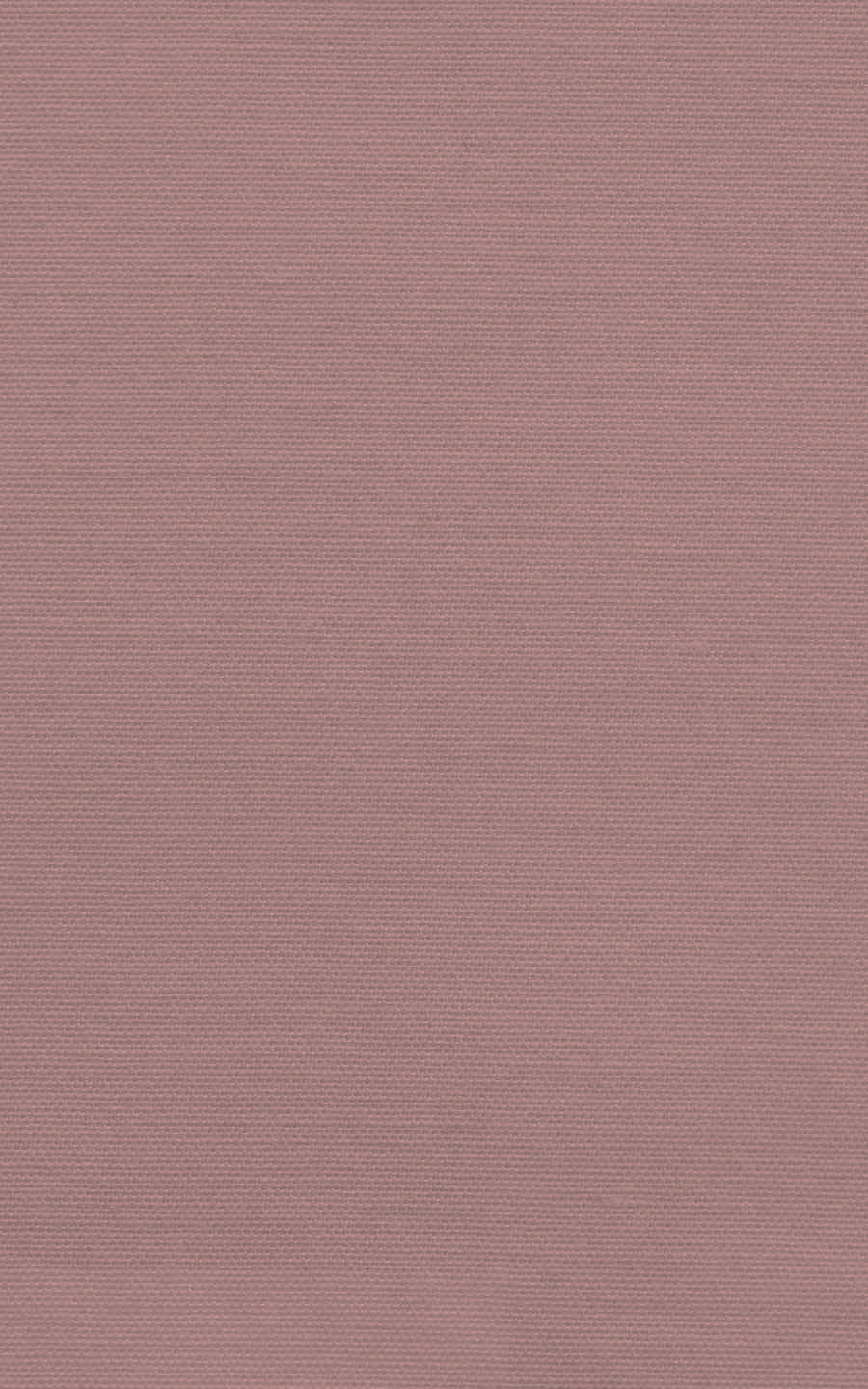 Blush Pink Cotton Suit-tailored-fit