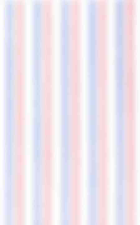 American Navy & Red Pencil Stripes Egyptian Cotton