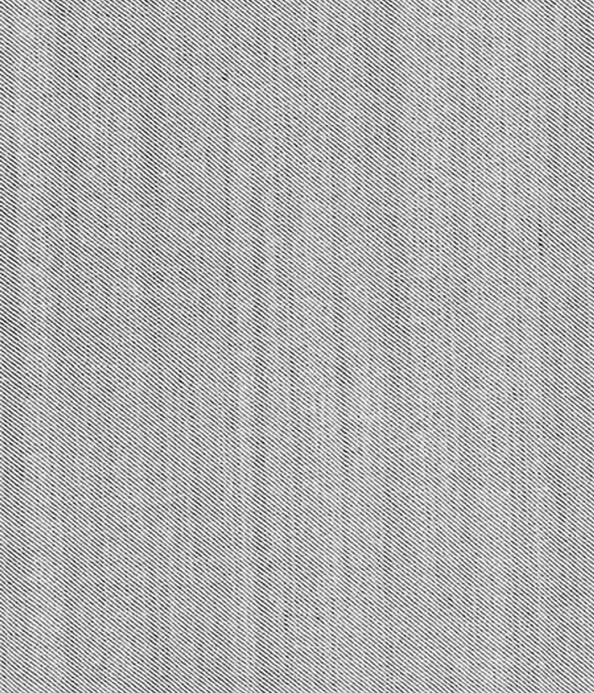 Light Grey Wool Silk Suit - Hangrr
