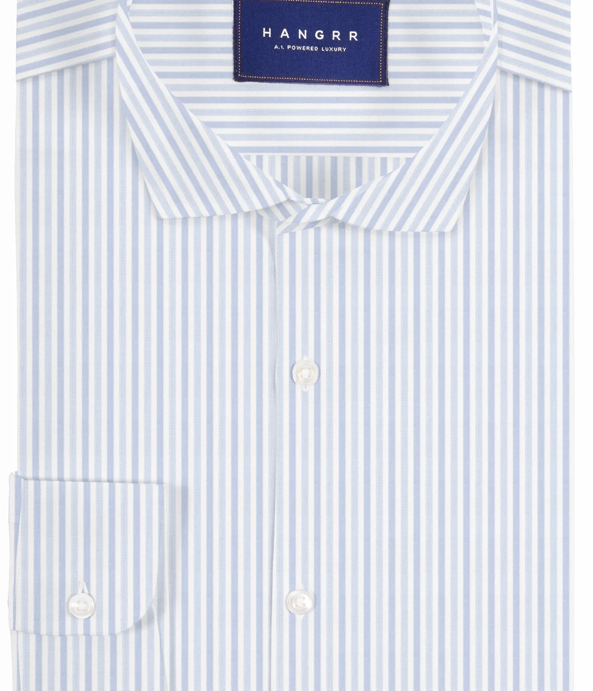 Blue Double Stripe Shirt- view-2